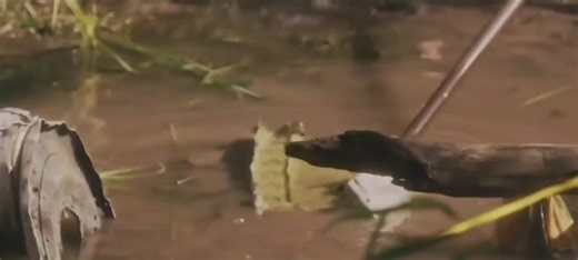 #for #aircrashanalysis | air_crash_analysis