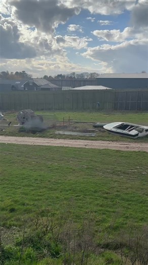 The Magical Flight of Macaws ✨