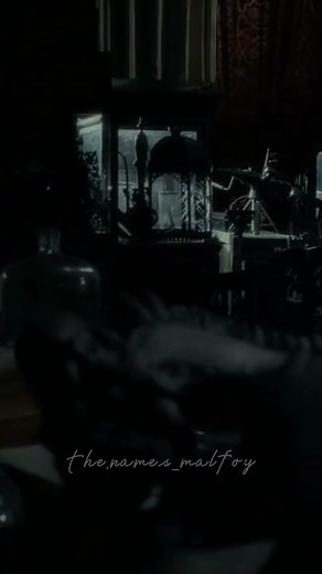 Malfoy_Draco_Malfoy on TikTok