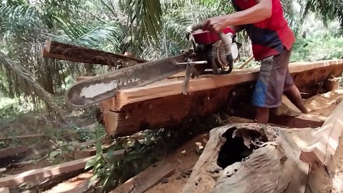 Recycling Ironwood: A Better Way to Use It for Home Construction