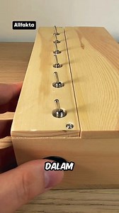 useless box #unik #faktamenarik #faktaunik #viral #trending #sains | allfakta