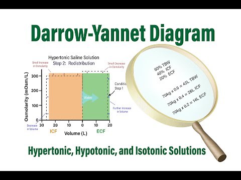 Darrow-Yannet Diagram: Hypertonic, Hypotonic and Isotonic Solutions