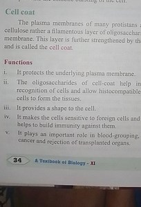 Cell coatThe plasma membranes of many protistans cellulose rat... | Filo