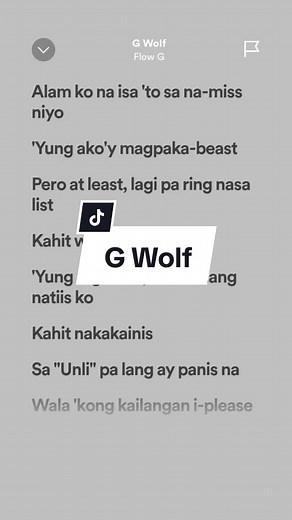 G Wolf - Flow G | Lyrics, Spotify, Janelyricssss