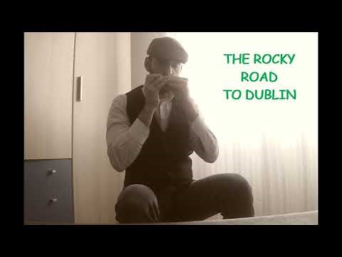 HARMONICA (Irish) - The Rocky Road To Dublin (slip jig)