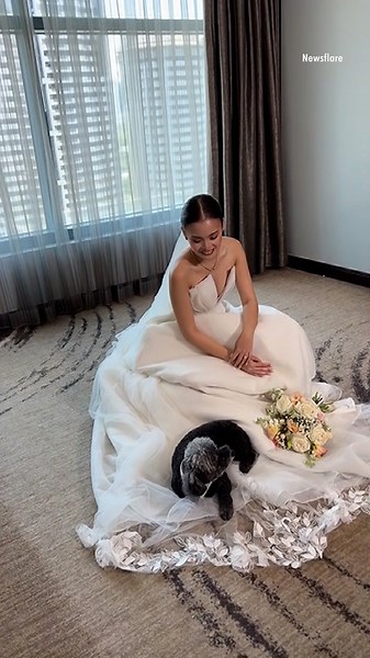 Senior Pet Dog Curls Up and Falls Asleep on Bride's Wedding Dress to Say ‘Goodbye’ as She Prepares to Live with Husband
