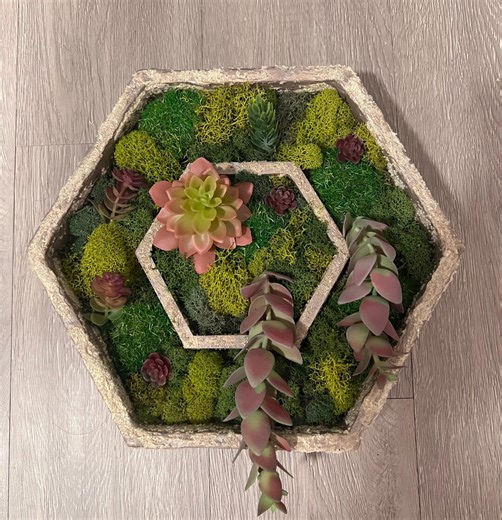 Preserved Moss & Faux Succulent 3D Hexagon Wall Art - Etsy