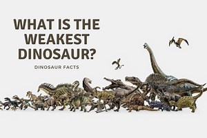 What Is The Weakest Dinosaur? - Dinosaur Facts For Kids