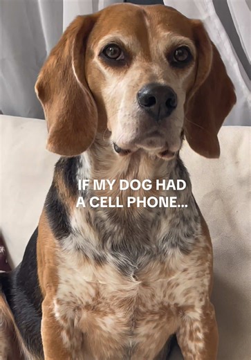 If My Dog Had a Cell Phone: A Beagle's Life