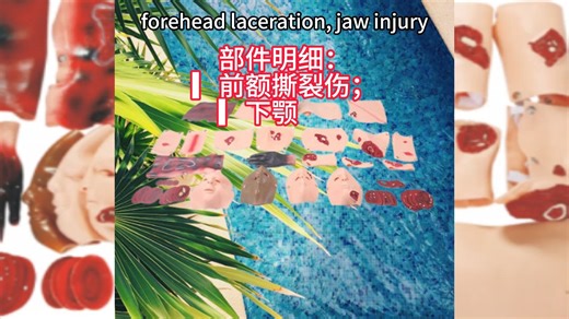 43部件创伤评估模块Trauma Assessment Module