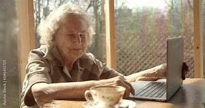 an very old elderly happy woman smiles sitting in front of a laptop. freelancing for the elderly. computer literacy for the younger generation. looks at the camera.