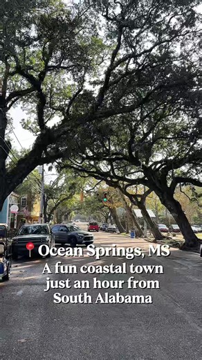 🌊 Ocean Springs, MS is a fun coastal town just an hour from South Alabama and always worth the drive. Great food 🍽️, cocktails 🍸, and laid-back spots make it an easy day trip. What are your favorite Ocean Springs spots? #OceanSpringsMS #SouthAlabama #CoastalTown #DayTrip #FoodieTravel