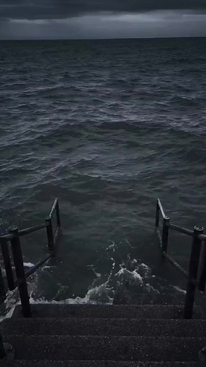 Hilarious Dogs Chasing People on Bikes | Funny Animal Video Clip