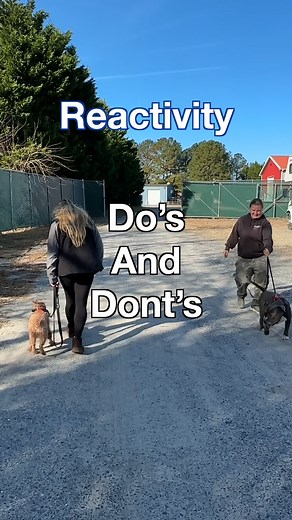 Does your dog get distracted when it passes another furry friend on a walk? Here are some helpful tips to keep them focused, calm, and happy when passing a potential "trigger!" #delawaredogtraining #Delaware #animalovers #dogtrainers #offleashk9trainingdelaware #delawaredogs #offleashk9training #bestbuds #dogtraining #dogwalk #dosanddonts | Off Leash K9 Training: Southern Delaware