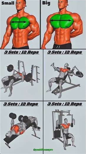 Best exercises for biggest chest💪⚡#fitness #workout #exerciseplan #viral #shorts