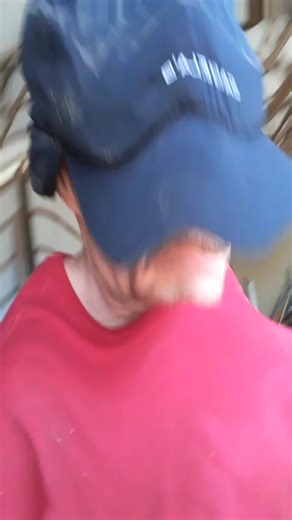 Feestyle Life: Embracing Soul and Grace