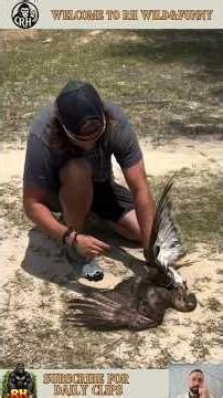 Animal Rescues Caught On Camera #short