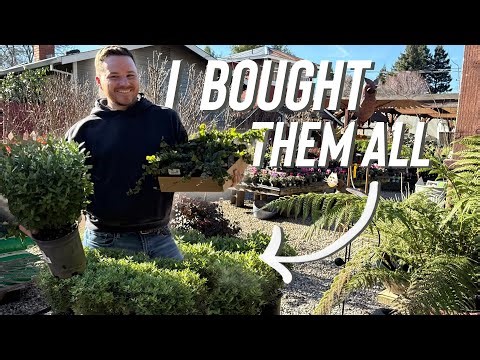 A Whole Day Looking for One Tree But Found Lots of Other Great Plants! 🌳