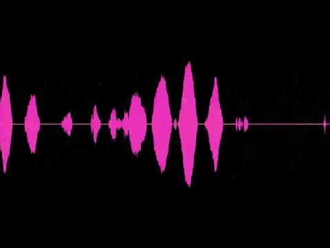 Keygen Music - REiS - Internet Download Manager 6.x.x crk