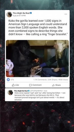 This Gorilla Invented Words — and Knew Over 2,000 in English
