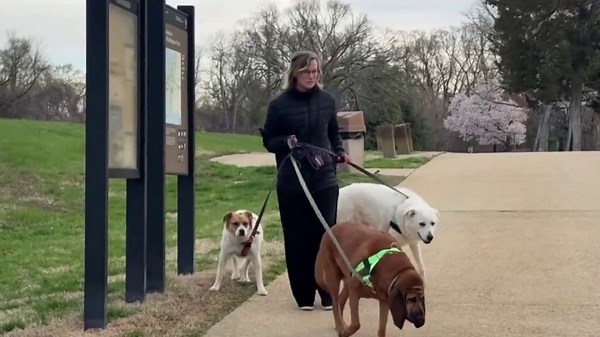 Fort Washington Park reopens days after pipe boms were found on the grounds