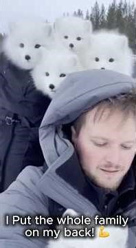 I Followed a Blood Trail in the Snow… and Found FOUR Tiny Lives