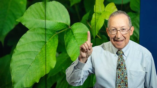 First With Kids: Avoiding and treating poison ivy