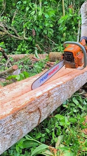 splitting red mahogany using a New West saw machine#wood#woodworking#shorts