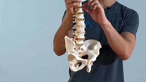 How to STOP Disc Degenerative "Disease" (Exercises & Tips)