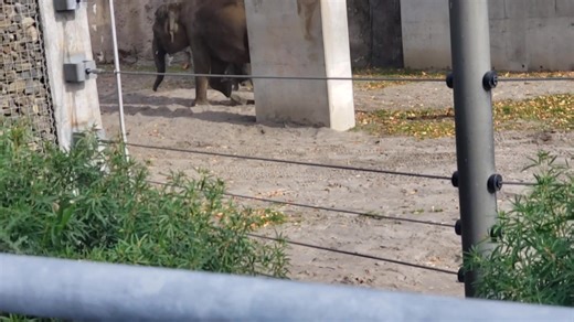 Jennifer Blakely on Reels