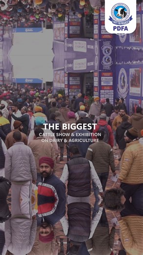 🚨 Countdown Begins! 🚨 Only days to go for PDFA International Dairy & Agri Expo 2026 🐄🌾 ⏰ The wait is almost over! India’s one of the biggest Dairy & Agri Shows is coming soon 🚜 📆 Mark the dates: 7th–9th February 2026 📍 Jagraon | Ludhiana 🔥 Get ready, farmers & agri professionals! The future of dairy & agriculture starts here 💚 👉 Stay tuned… Something BIG is coming! | PDFA Punjab