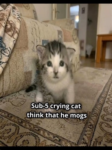 Boost Your PSL Scores with AscendMax App