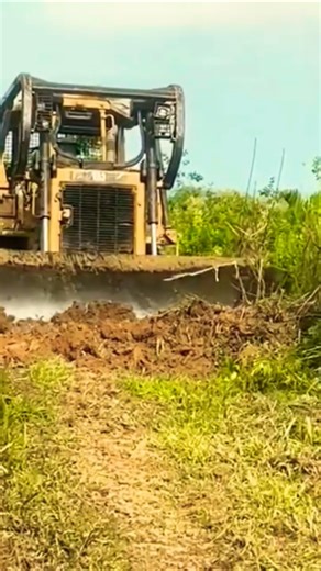 Bulldozer KOMATSU D65 Strong Clearing Forest #dumptruck #bulldozerofficial #automobile