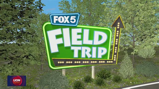 Fox 5 Field Trip: Level99 Tysons