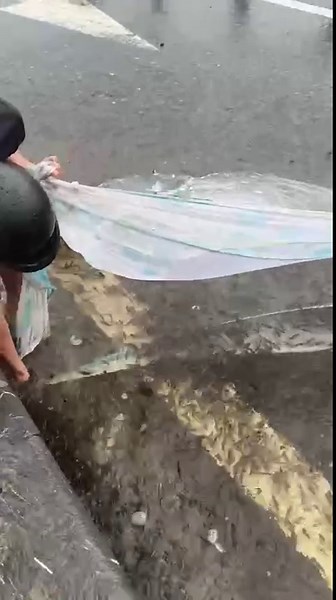 Video: Người dân bắt cá bơi giữa đường sau cơn mưa ở Hải Phòng