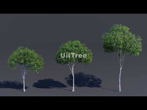 How to Make a Tree with Geometry Nodes in Blender | UitTree