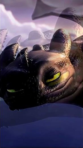 Toothless|dragon trainer