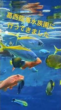 葛西臨海水族園に行ってきました！