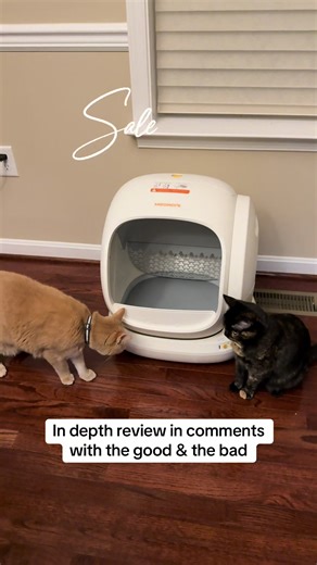 Honest Review of the Automatic Litter Box