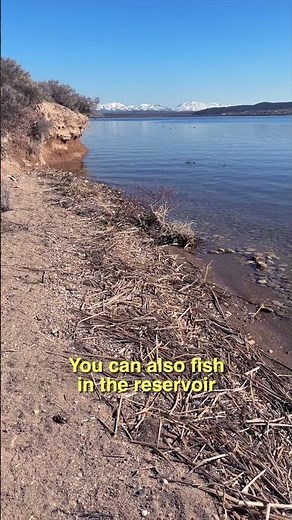 Camping & Fishing at South Fork State Recreation Area | Spring Creek, NV