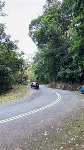 Peugeot 308: Mastering the Art of Touge Driving