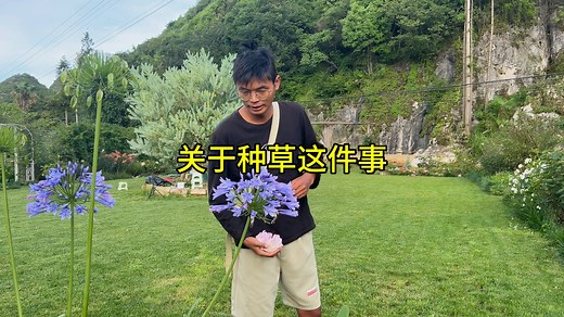 关于种草这件事----平整场地，草种的选择，铺草皮还是撒草籽，后期维护。