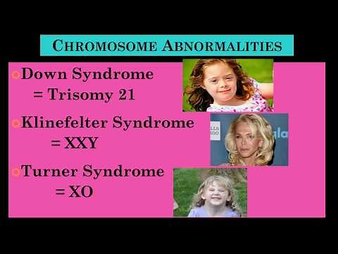 CHROMOSOME ABNORMALITIES presented by Psychology Professor Bruce Hinrichs (Scientific Psychology)