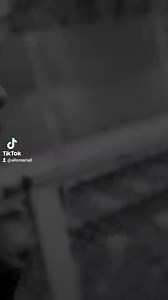 3K views · 98 reactions | Belehalok Majka x Curtis x BLR | Mária Állóová | Facebook