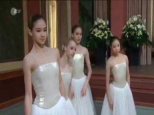 Johann Strauss II The Blue Danube Waltz Vienna Philharmonic Vals del Danubio Azul YouTube