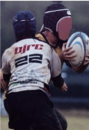 Creative Cobra Stickers for TikTok Lovers