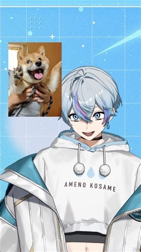 俺に似てる動物集 #vtuber #シクフォニ #animals