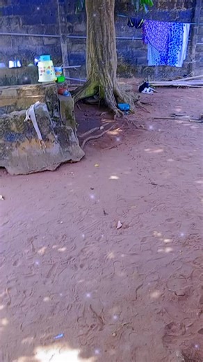 Lagu jawo (@lagu.jawo1)’s videos with original sound - Lagu jawo