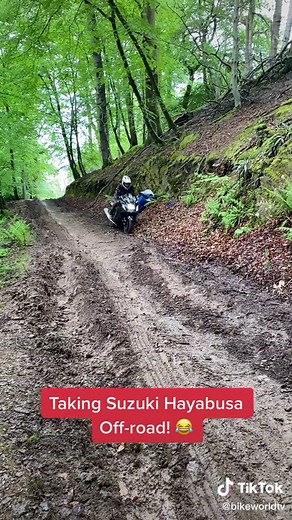 Exploring Suzuki Hayabusa Off-Road Adventure