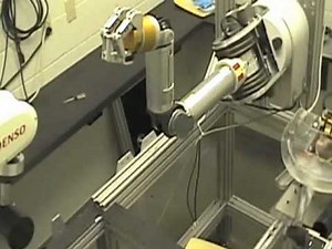 Monkey Controls Advanced Robot With Its Mind